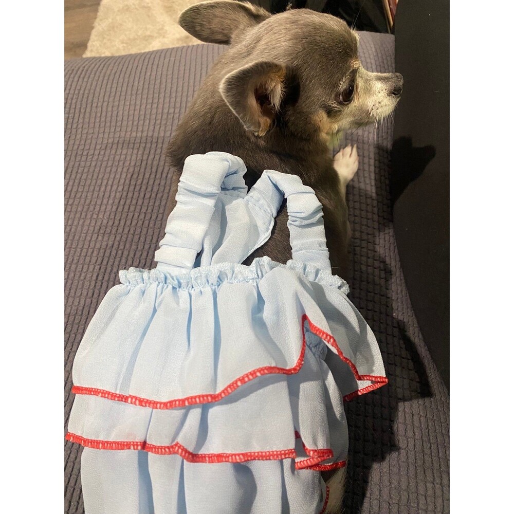 Very Small Blue and Red Dog Dress